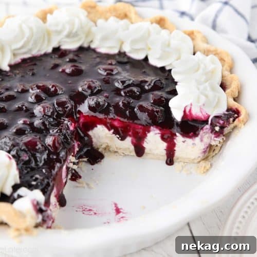 Blueberry Cream Cheese Pie with whipped cream on top and a couple slices missing from dish, inviting you to take a bite.