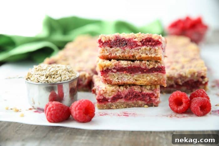 Jammy Raspberry Crumble Bars 4 Close-up of three Raspberry Crumble Bars, showcasing the crumbly top, vibrant raspberry filling, and sturdy bottom crust.