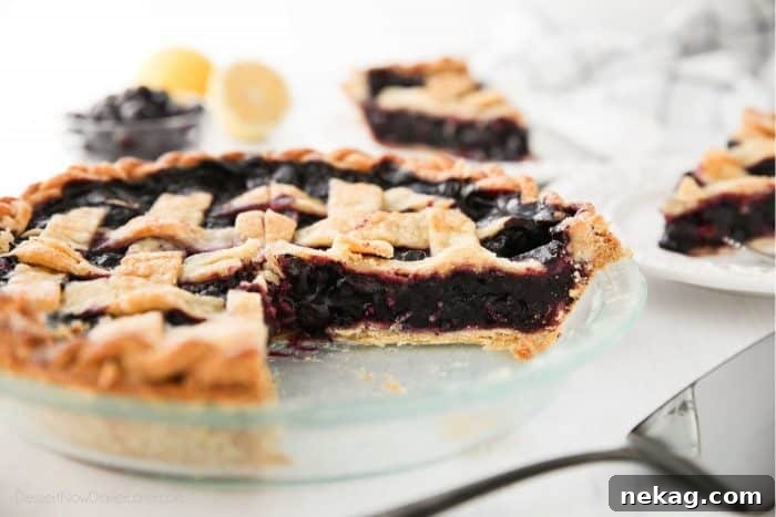 Sweet Blueberry Perfection 11 A delectable homemade blueberry pie, fresh from the oven, with a bubbling filling and golden crust.