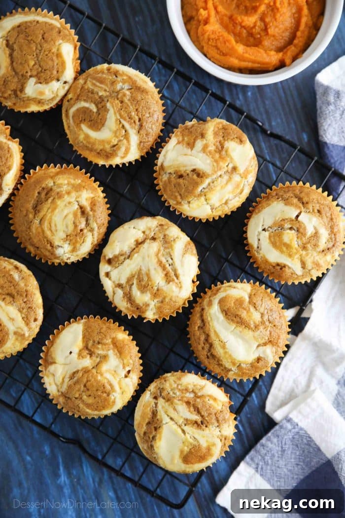 Light, fluffy, and moist pumpkin cream cheese muffins swirled with creamy cheesecake