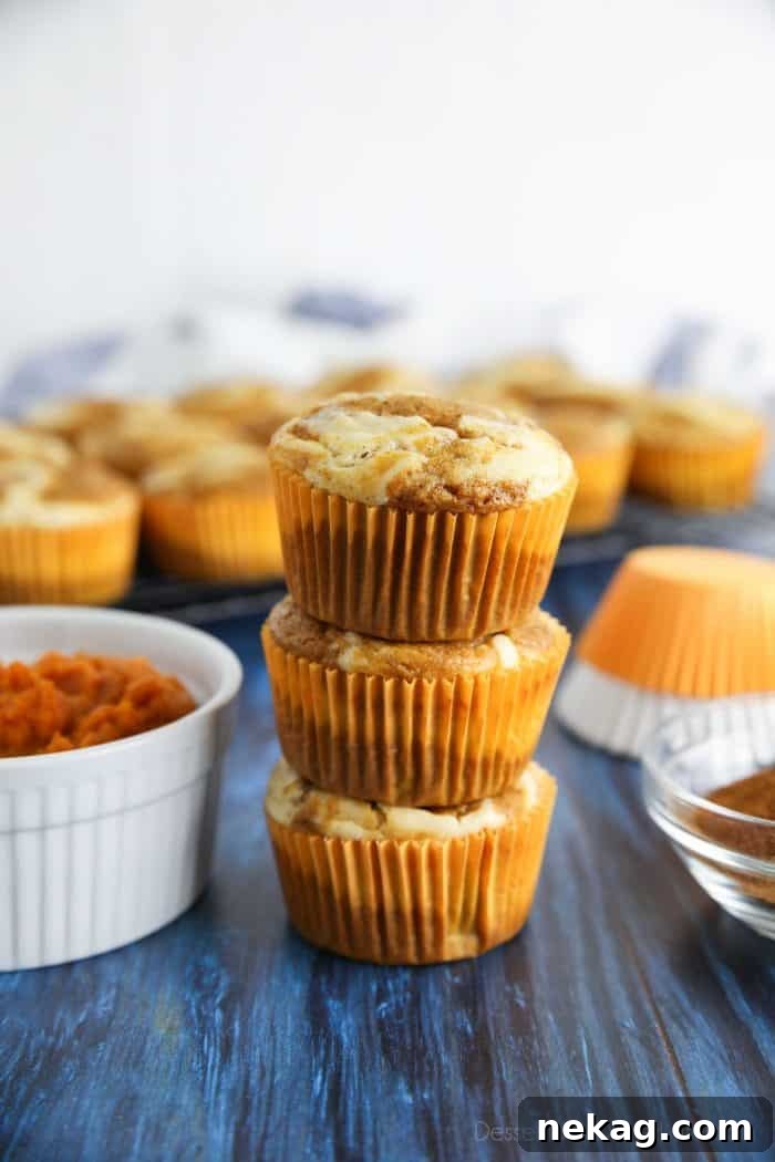 Spiced pumpkin muffins featuring elegant swirls of creamy cream cheese filling