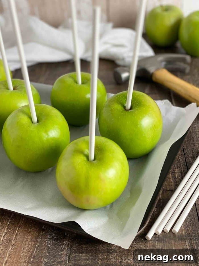 Handcrafted Caramel Apple Delights 5 Use 6 to 8-inch Wilton cookie sticks for handles in the caramel apples. Gently tap into apple with a hammer or the flat end of a meat mallet.