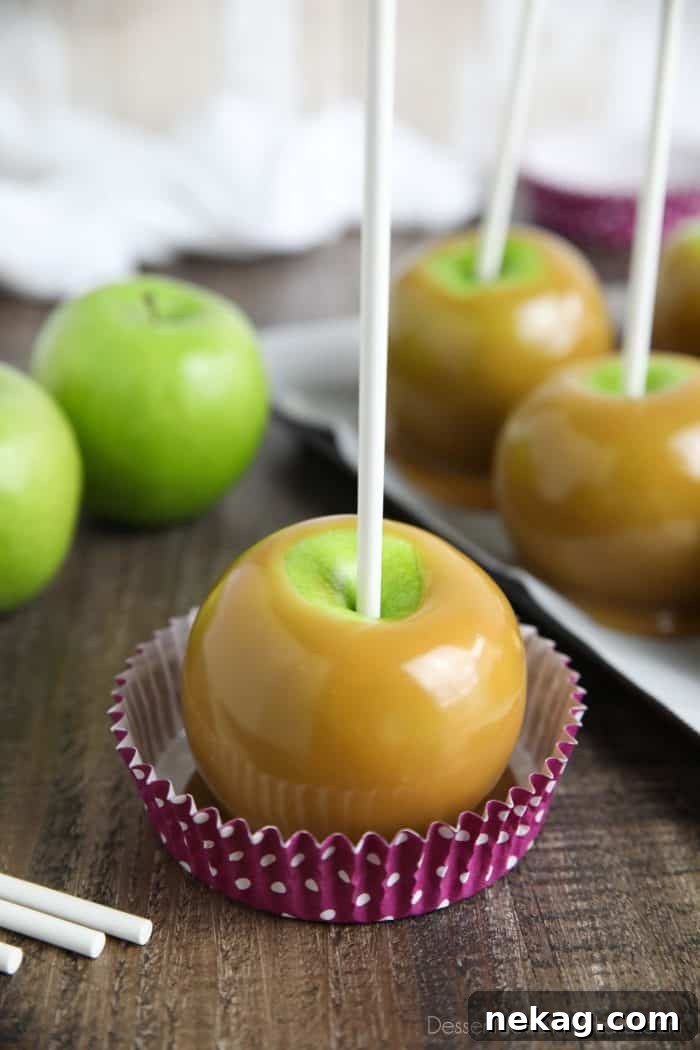 Handcrafted Caramel Apple Delights 9 Homemade Caramel Apples are pretty and a fun activity to make in the fall.