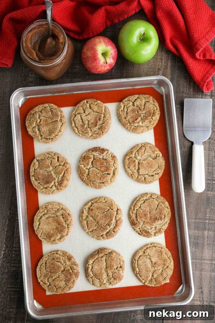 Apple Butter Cookies Video Recipe 3 Top view of baked apple butter cookies on a cookie sheet.