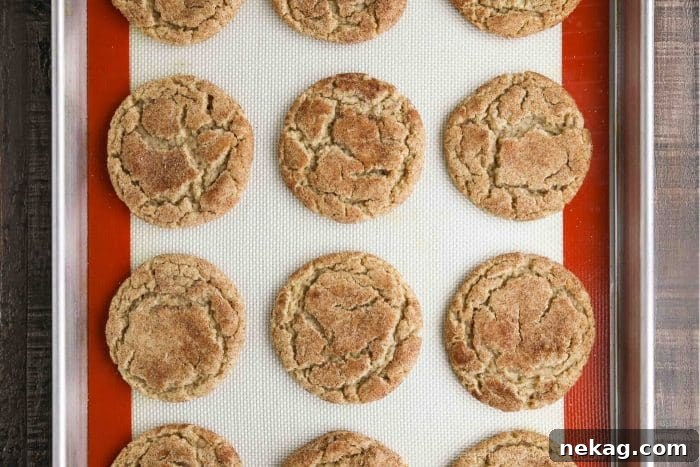 Apple Butter Cookies Video Recipe 7 Top view of baked apple butter cookies on a cookie sheet.