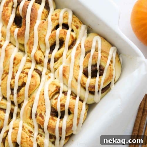 Baked pumpkin cinnamon rolls with cream cheese frosting drizzled on top.