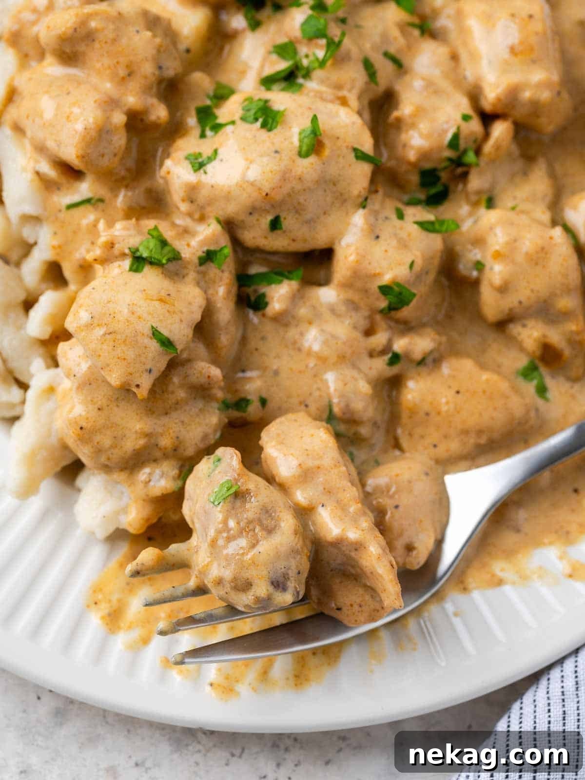 Classic Hungarian Chicken Paprikash 2 chicken paprikash bite on fork.