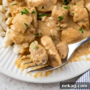 Classic Hungarian Chicken Paprikash 14 Chicken paprikash with parsley bite on fork.
