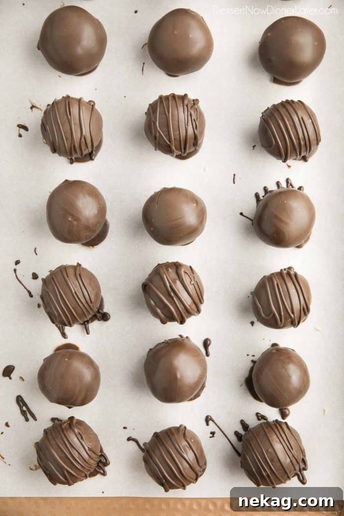 No-Bake Peanut Butter Truffles 4 Chocolate dipped peanut butter balls. Some plain, and some drizzled with chocolate on top.