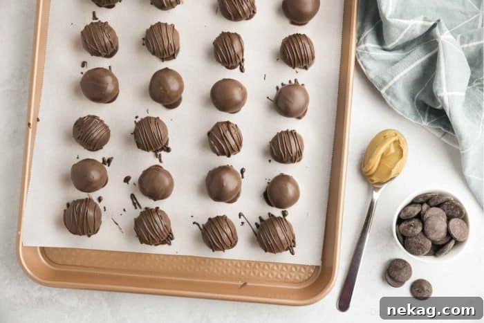 No-Bake Peanut Butter Truffles 9 Dipped chocolate peanut butter balls on tray with parchment paper.