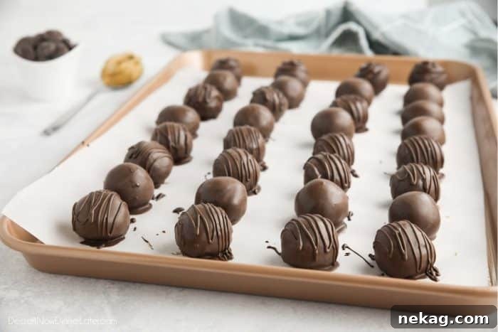 No-Bake Peanut Butter Truffles 10 Dipped chocolate peanut butter balls on tray with parchment paper.