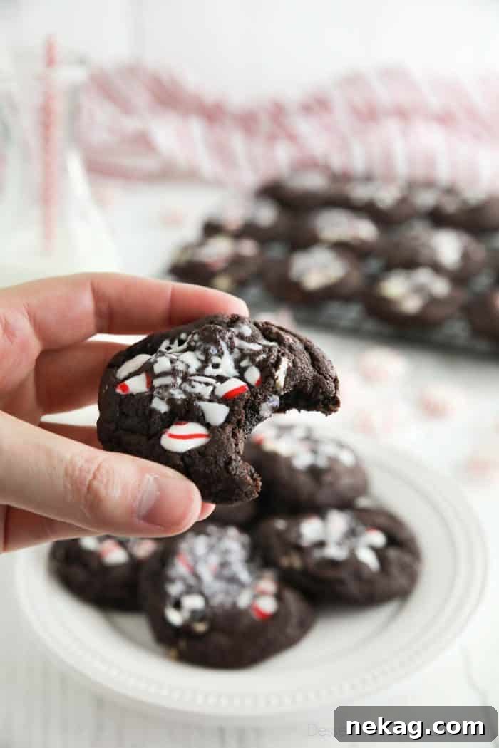 A delicious chocolate peppermint cookie with a bite taken out, revealing its fudgy interior, topped with sparkling crushed candy canes, on a festive holiday background.