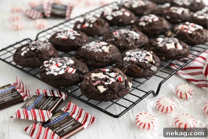 A metal cooling rack generously filled with freshly baked, perfectly round chocolate peppermint cookies, indicating a successful baking session.