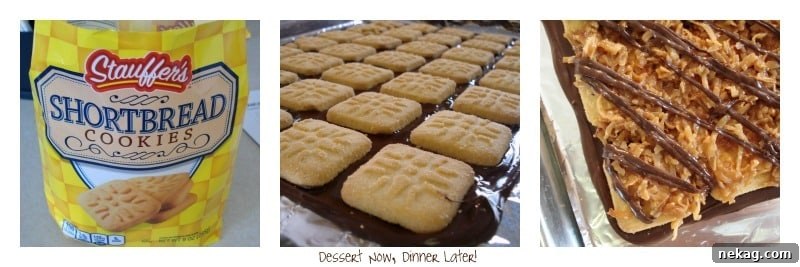 Samoan Bark: A Comprehensive Guide to Traditional Uses and Modern Applications 3 Close-up shot of the delicious layers of Samoa Bark: chocolate base, shortbread cookies, caramel coconut topping, and chocolate drizzle.