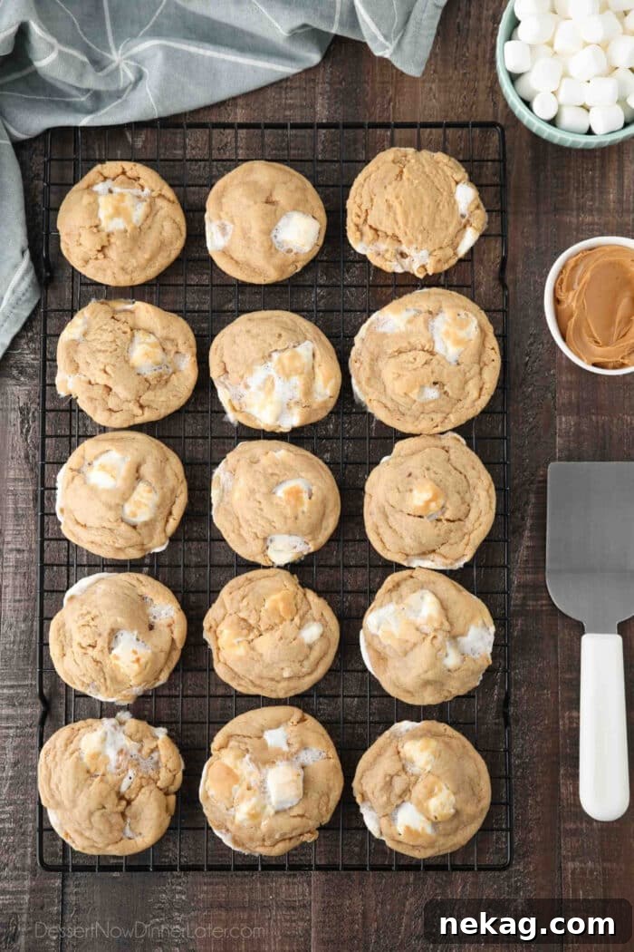 Delicious Fluffernutter Cookies 5 Fluffernutter cookies cooling on a wire rack, showcasing their golden brown edges and soft, chewy texture.