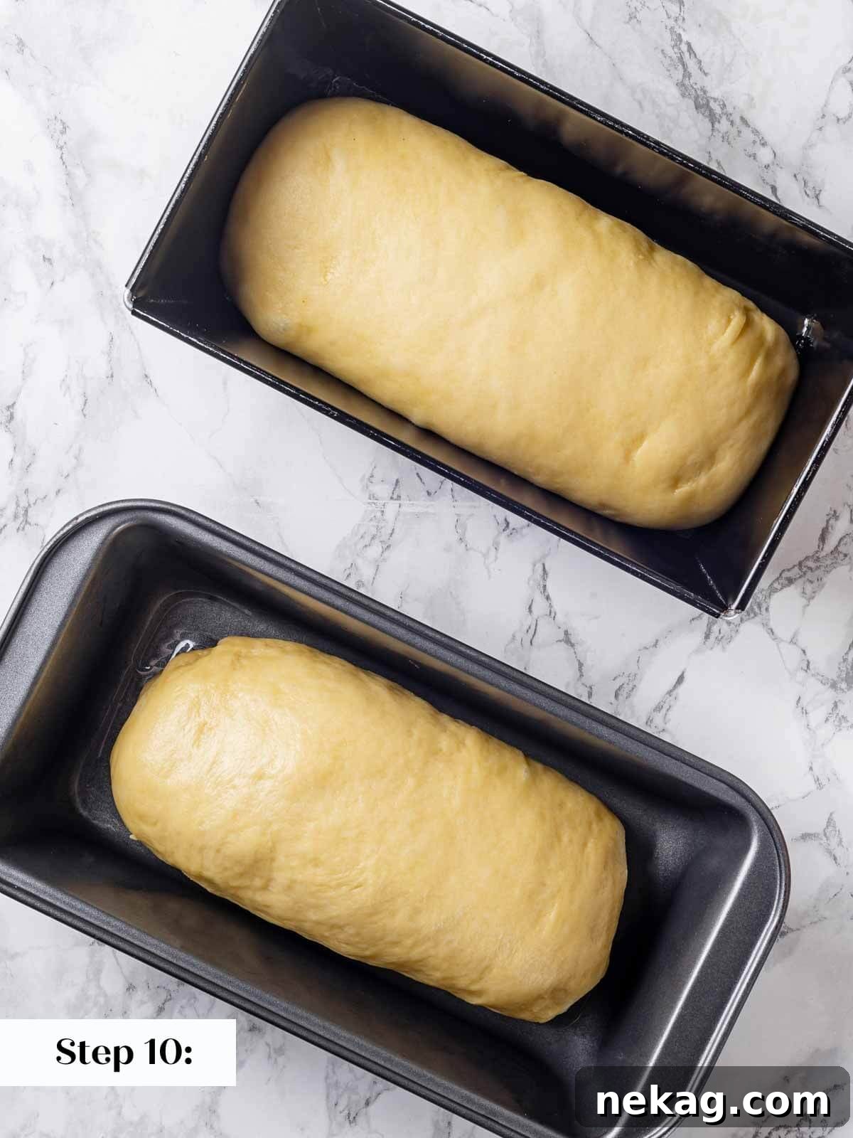 Two brioche dough logs neatly placed in loaf pans, covered for final proofing.