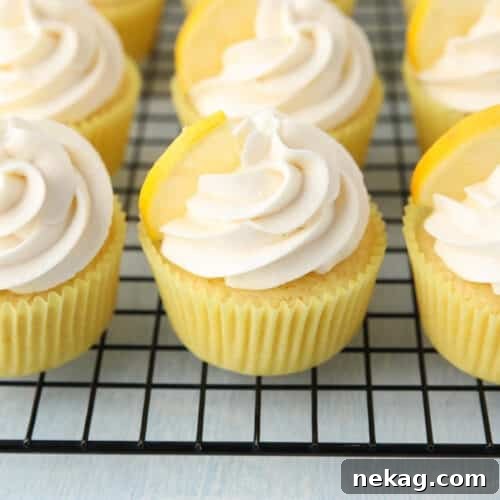 Cooling rack full of frosted lemon cupcakes.