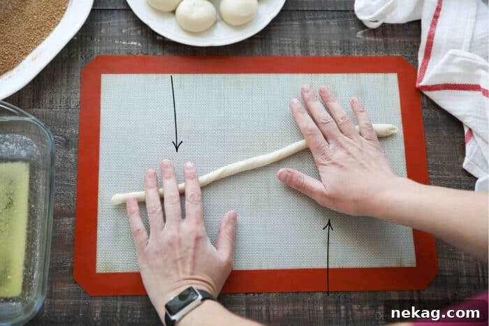Demonstrating how to roll cinnamon twists. Rhodes dough is rolled into a long rope. Then each end is rolled in opposite directions.