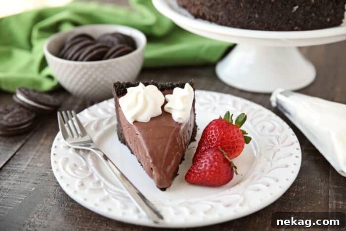 Effortless Chocolate Bliss 14 A single slice of no-bake chocolate cheesecake on a plate, adorned with a swirl of whipped cream and fresh strawberries on the side, ready to be enjoyed.