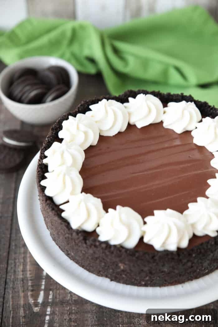 Effortless Chocolate Bliss 4 A complete no-bake chocolate cheesecake resting on a stand, showcasing its dark Oreo crust and smooth chocolate filling.