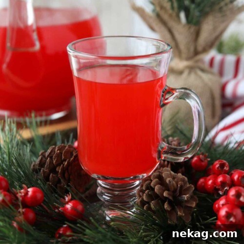 Close up of a glass cup with red holiday punch inside it.