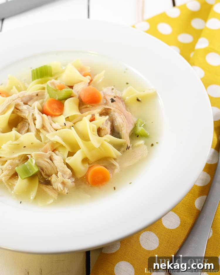 The Ultimate Comfort Bowl 3 Close-up of healthy chicken noodle soup with fresh ingredients