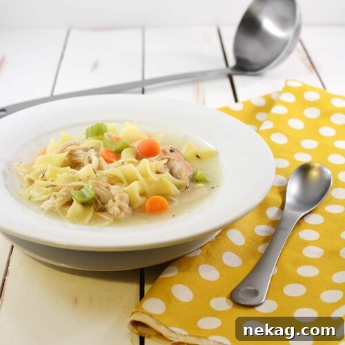 The Ultimate Comfort Bowl 4 Delicious Homemade Chicken Noodle Soup