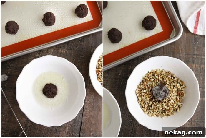 Delicious Turtle Thumbprint Cookies 6 Collage showing a chocolate cookie dough ball being dipped in whisked egg whites (left) and then rolled in chopped pecans (right), illustrating the coating process.