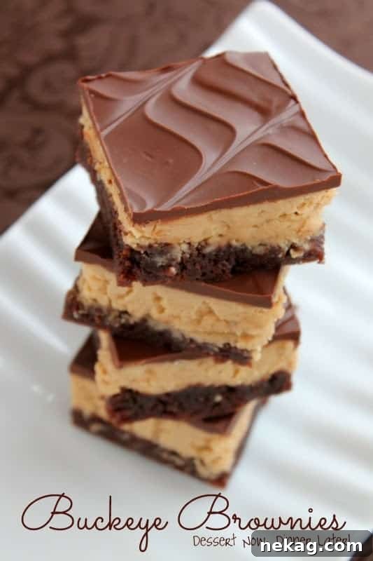 Fudgy Buckeye Swirl Brownies 2 Close-up of a delightful Buckeye Brownie, showcasing its rich chocolate and peanut butter layers.