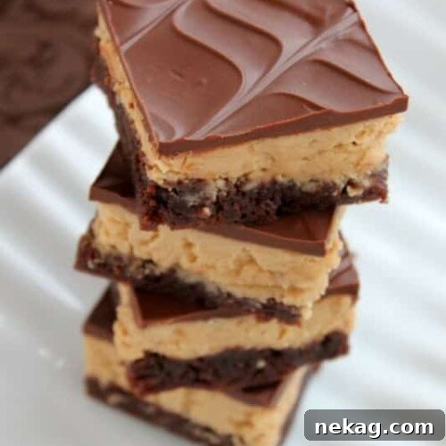 Close-up shot of a single Buckeye Brownie bar, showing its distinct layers.