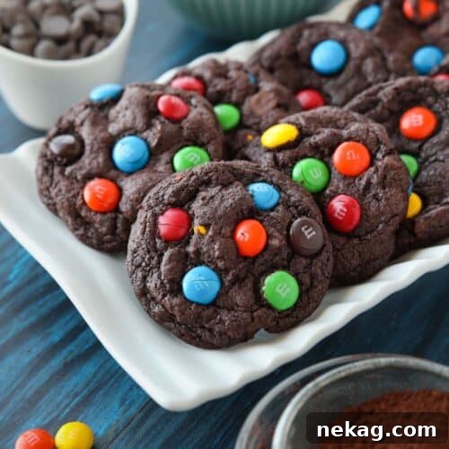 Chocolate M&M Cookies recipe image, showcasing the cookies on a plate with cocoa powder and chocolate chips.