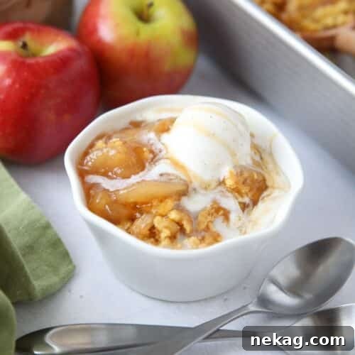 Close up of a bowl full of caramel apple dump cake and vanilla ice cream on top.