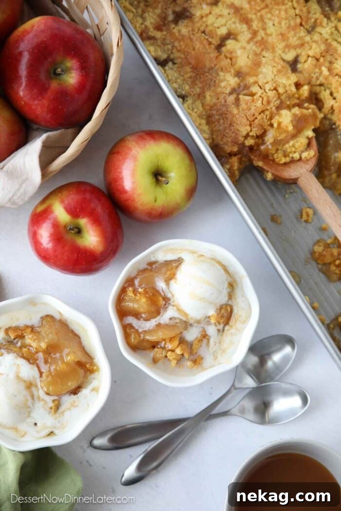 Two cozy bowls of warm caramel apple dump cake, each topped with a generous scoop of vanilla ice cream and an extra drizzle of caramel sauce.