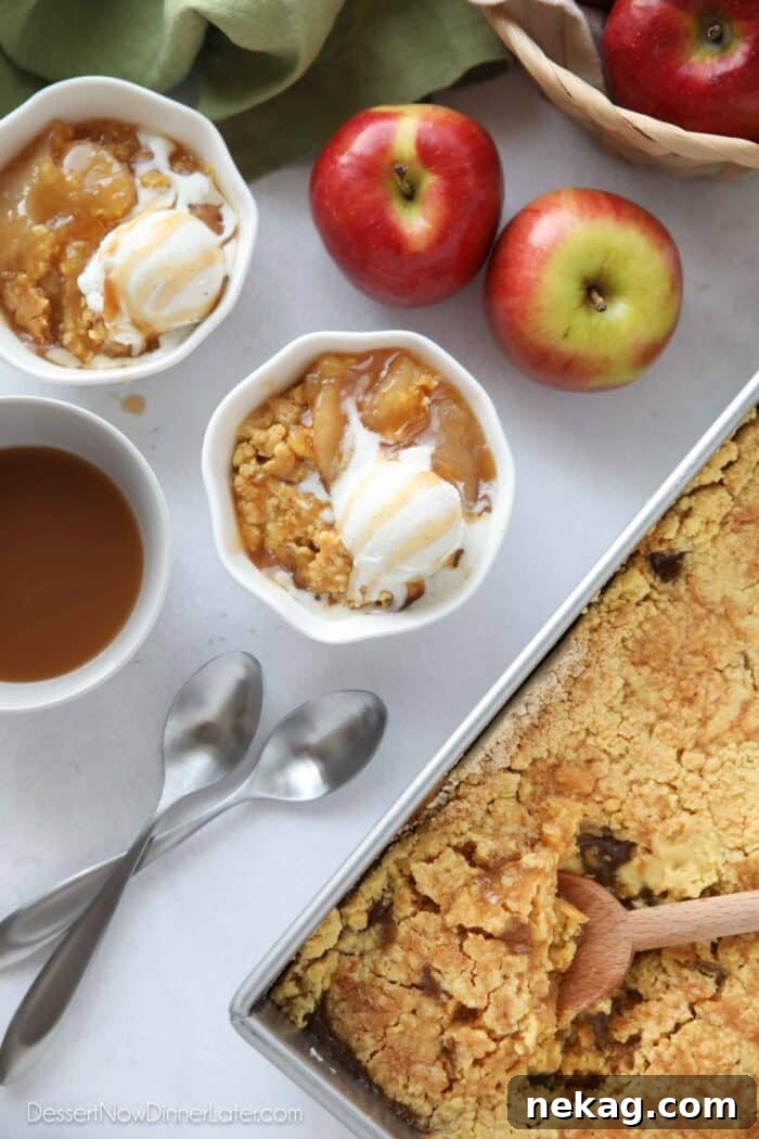 Two inviting bowls of warm apple dump cake, each generously topped with vanilla ice cream beginning to melt and a luscious swirl of caramel sauce.