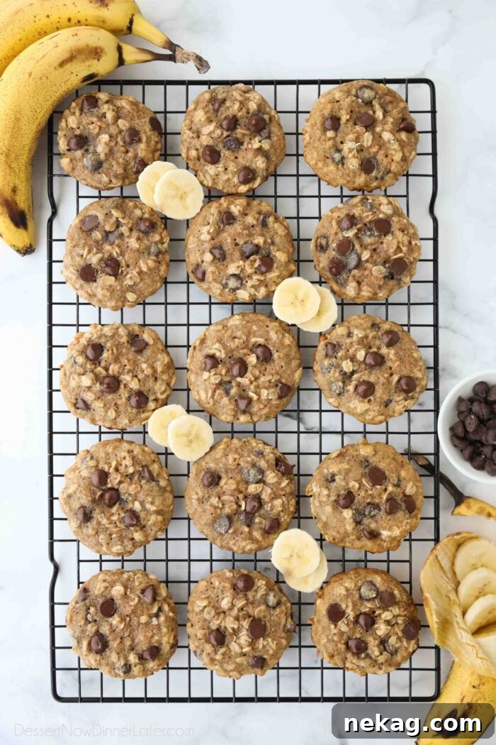 Banana Bread Inspired Oatmeal Chocolate Chip Cookies 3 Freshly baked banana oatmeal chocolate chip cookies cooling on a wire rack.
