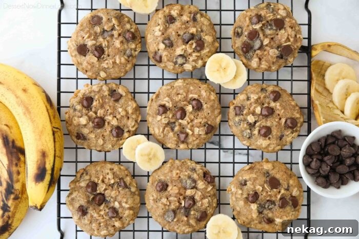Banana Bread Inspired Oatmeal Chocolate Chip Cookies 7 Freshly baked banana oatmeal chocolate chip cookies on a wire cooling rack, showcasing their texture.