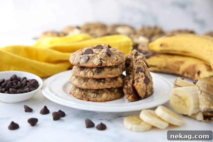 Banana Bread Inspired Oatmeal Chocolate Chip Cookies 8 A stack of banana oatmeal chocolate chip cookies on a plate, with one cookie broken in half to show its soft interior and melted chocolate.