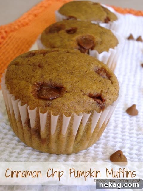 Freshly baked Cinnamon Chip Pumpkin Muffins on a cooling rack, with a rustic fall backdrop