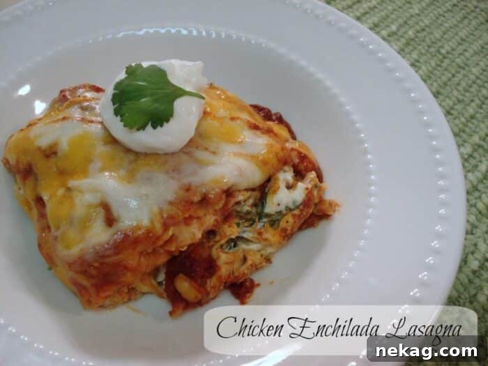 Southwest Chicken Lasagna 2 Layers of golden tortillas, creamy chicken, and melted cheese in a baking dish