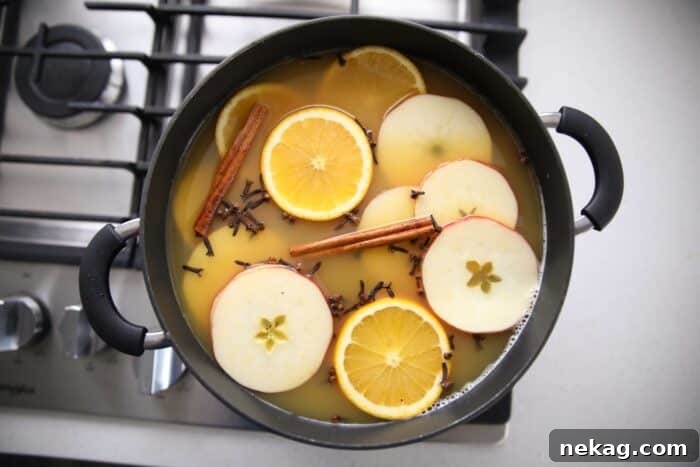 Festive Wassail Brew 5 Wassail ingredients simmering gently on a stovetop, with an option to prepare in a slow cooker.