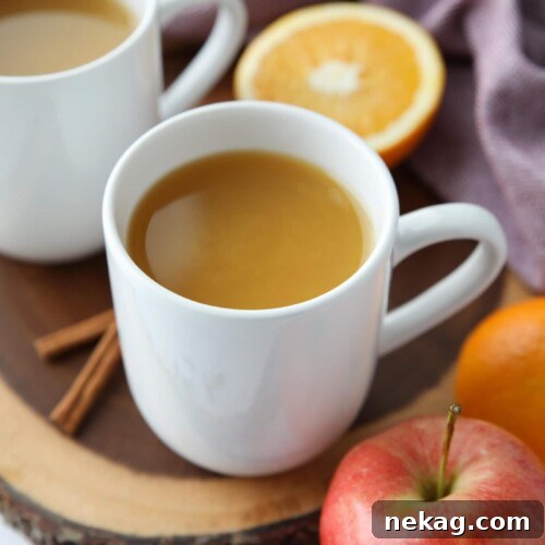Festive Wassail Brew 7 A steaming mug of traditional wassail, also known as mulled apple cider, garnished with cinnamon and orange.