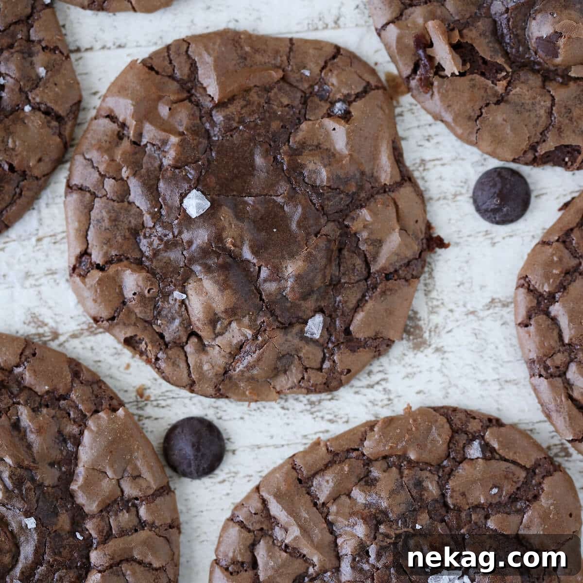 Brownie cookies with a perfect crackled top