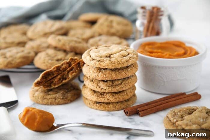 Harvest Spice Pumpkin Gingersnaps 8 Stack of pumpkin gingersnap cookies showcasing their inviting texture.