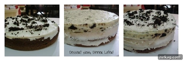 Close-up of the chocolate cake layer