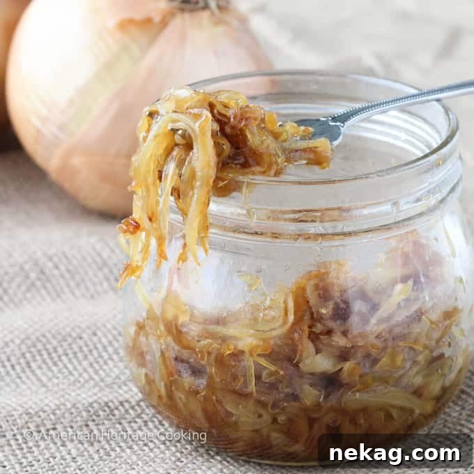 Effortless Caramelized Onions 5 A Small Bowl Filled with Rich, Deeply Caramelized Onions
