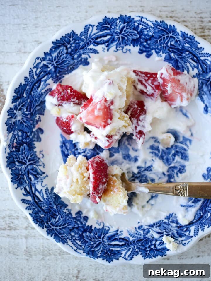 Strawberry Shortcake for Two messy plate. A rustic, delicious individual strawberry shortcake, with berries and cream spilling slightly, embodying homemade comfort and indulgence.