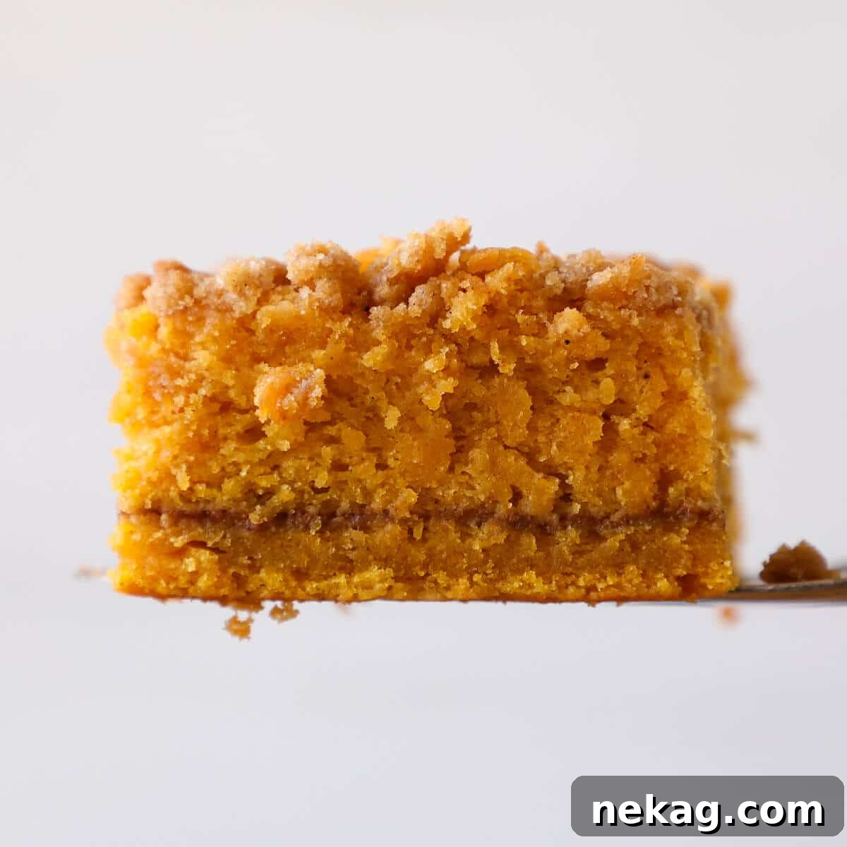 Spiced Pumpkin Crumble Cake 4 A close-up side view of a sliced pumpkin coffee cake showing the distinct layers of cake, spiced filling, and crumb topping.