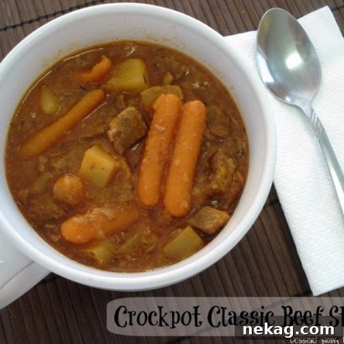 Delicious Crockpot Classic Beef Stew ready to serve in a bowl