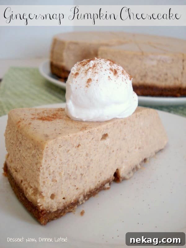 Perfect Gingersnap Pumpkin Cheesecake Minus The Cracks 11 An overhead shot of the entire Gingersnap Pumpkin Cheesecake, garnished with a light dusting of cinnamon, ready to be sliced and served.