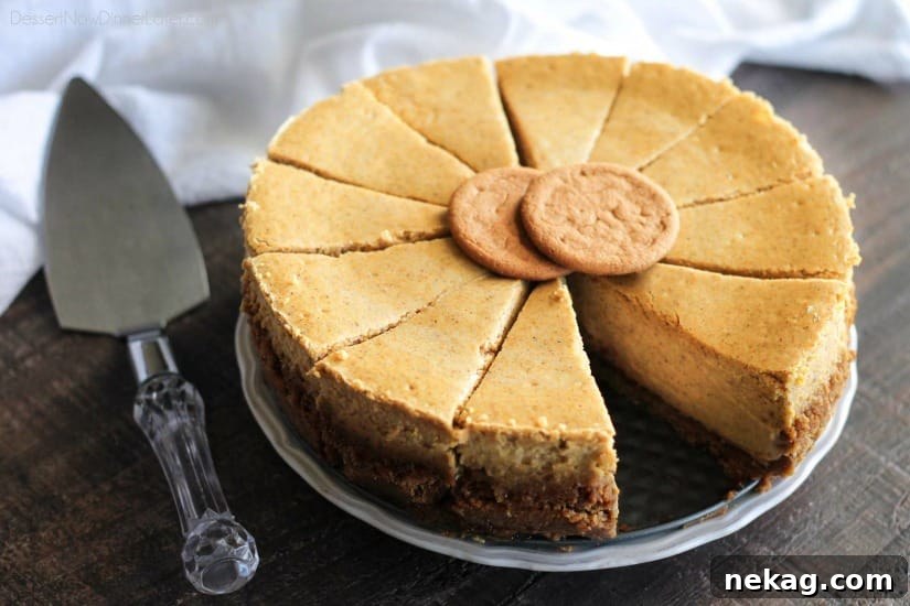 Perfect Gingersnap Pumpkin Cheesecake Minus The Cracks 7 A perfectly baked Gingersnap Pumpkin Cheesecake cooling, displaying a flawless, uncracked surface.
